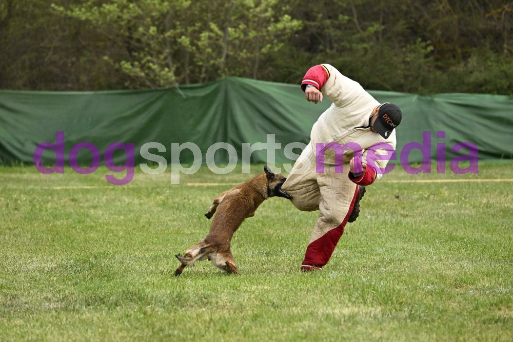 Preview _JRI_21498.jpg